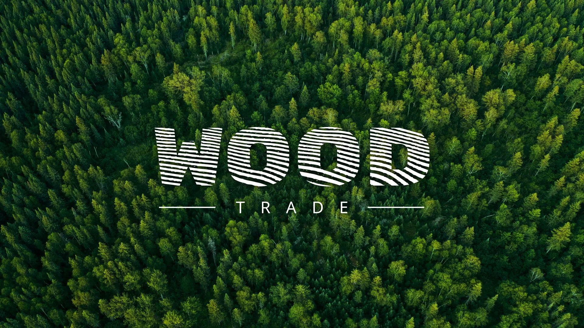 Разработка интернет-магазина компании «Wood Trade» в Фокино